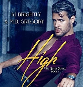 High Audiobook